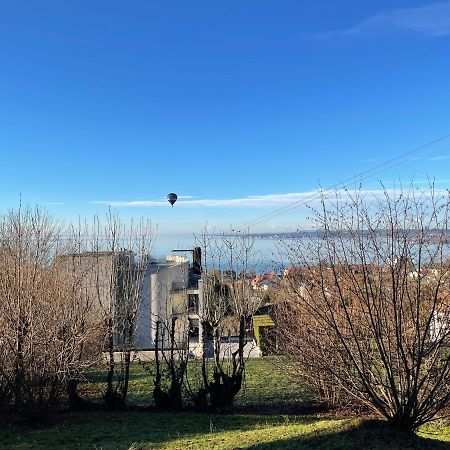 Villa Mit Traumhaftem Blick Uber Den Bodensee ブレゲンツ エクステリア 写真