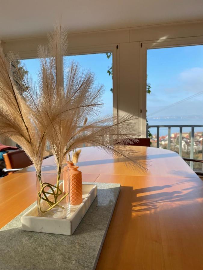 Villa Mit Traumhaftem Blick Uber Den Bodensee ブレゲンツ エクステリア 写真